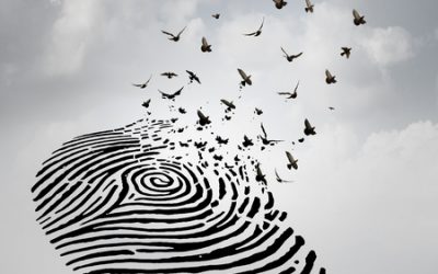 A por una sociedad de la confianza y la libertad