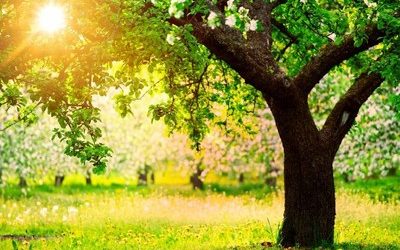 Eres un ser singular con talentos propios